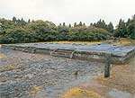 多賀城跡　奈良から平安にかけ東北全域を治めた役所跡