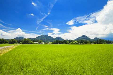 大和町のシンボル七ツ森