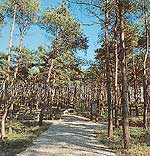 万葉植物を主体とした 森林公園「昭和万葉の森」